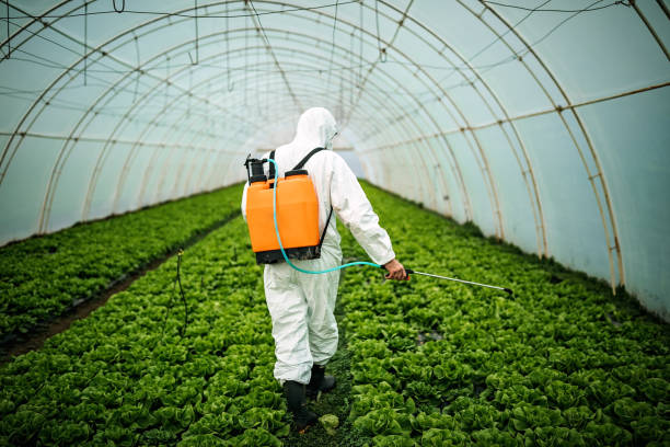 Best Best Pest Control Companies  in Independence, MN