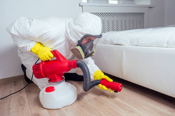 Best Pest Removal Services  in Independence, MN
