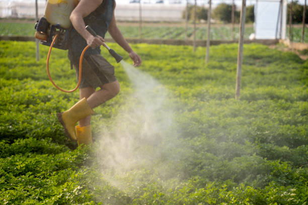 Best Exterminator Services  in Independence, MN